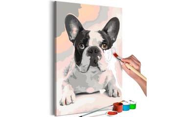 Gör-det-själv Målningar French Bulldog  40x60 cm - Artgeist sp. z o. o. - Inredning - Tavlor & konst - Måla själv