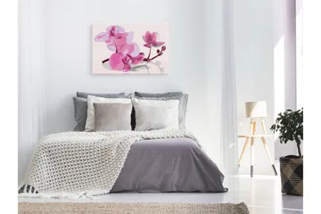 Gör-det-själv Målningar Orchid Flowers 60x40 cm - Artgeist sp. z o. o. - Inredning - Tavlor & konst - Måla själv