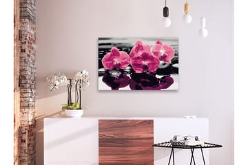 Gör-det-själv Målningar Three Orchids  60x40 cm - Artgeist sp. z o. o. - Inredning - Tavlor & konst - Måla själv