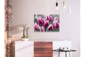 Gör-det-själv Målningar Tulip Field 60x40 cm - Artgeist sp. z o. o. - Inredning - Tavlor & konst - Måla själv