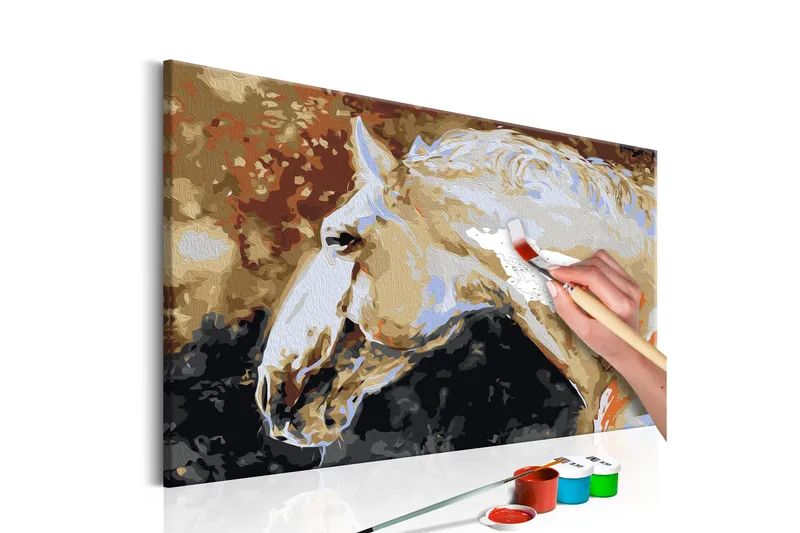 Gör-det-själv Målningar White Horse 60x40 cm, Artgeist sp. z o. o.
