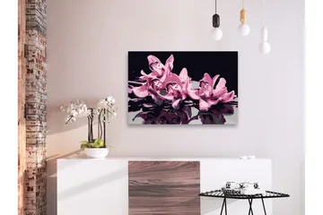 Gör-det-själv Målningar Pink Orchid Black 60x40 cm - Artgeist sp. z o. o. - Inredning - Tavlor & konst - Måla själv