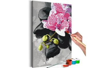 Gör-det-själv Målningar Pink Orchid  40x60 cm - Artgeist sp. z o. o. - Inredning - Tavlor & konst - Måla själv