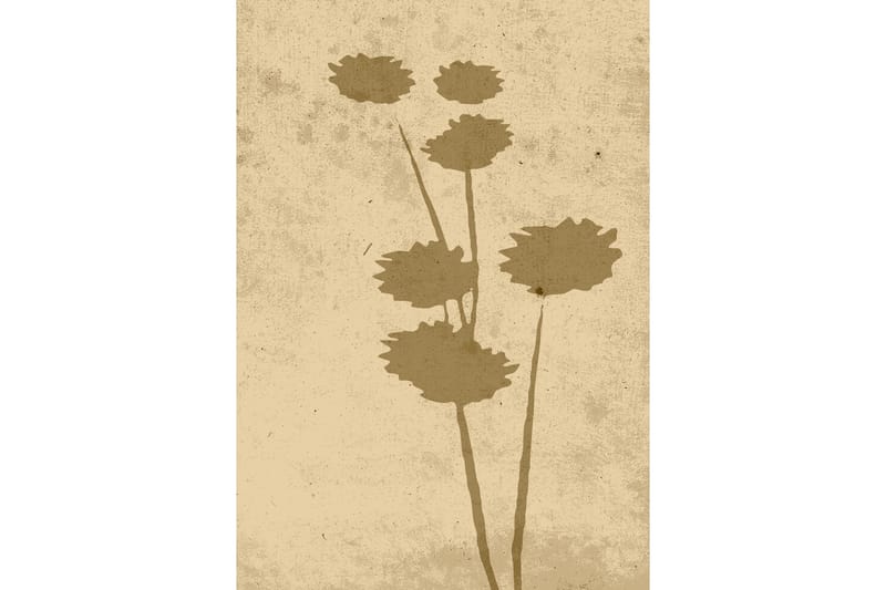Poster Flower art 70x100 cm - Beige - Posters & prints
