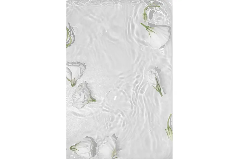 Poster White Roses 30x40 cm, Vit