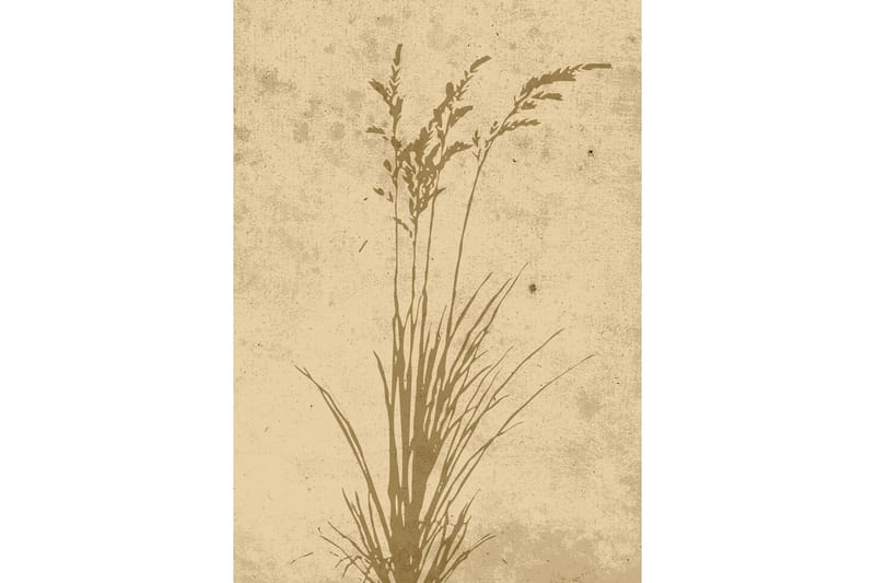 Poster Plant art 21x30 cm - Beige - Posters & prints