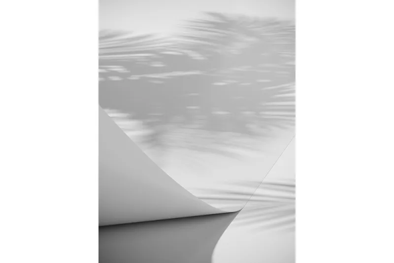 Poster Papyrus 30x40 cm, Vit