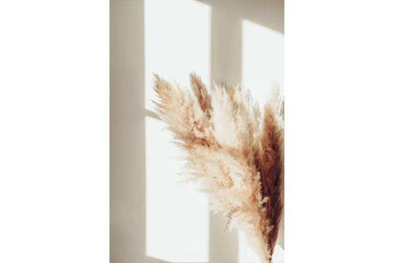 Poster Pampas 30x40 cm, Beige