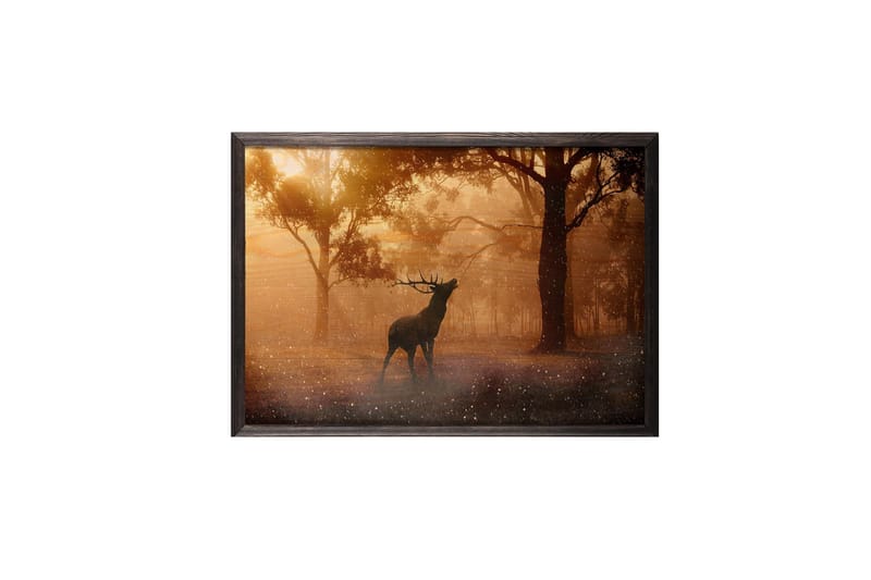 Deer At Dawn Foto Orange/Brun - 70x50 cm - Inredning - Tavlor & konst - Posters & prints