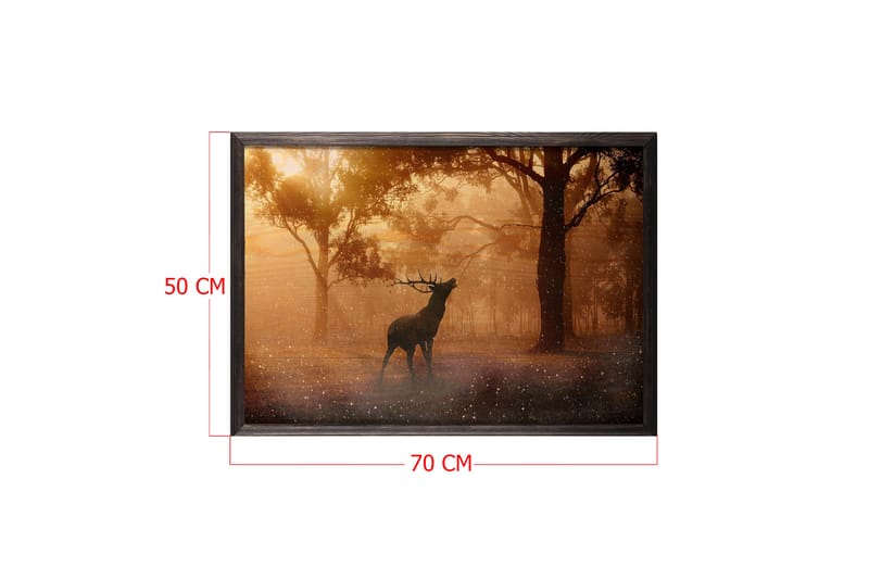 Deer At Dawn Foto Orange/Brun - 70x50 cm - Inredning - Tavlor & konst - Posters & prints