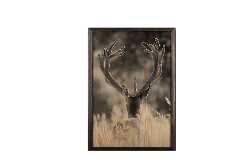 Deer In The Field Painting/Foto Grå/Beige - 50x70 cm - Inredning - Tavlor & konst - Posters & prints