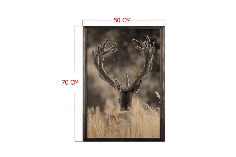 Deer In The Field Painting/Foto Grå/Beige - 50x70 cm - Posters & prints - Djur poster