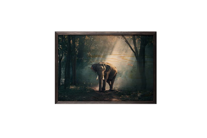 Elephant In The Djungle Foto Grön/Beige - 70x50 cm - Inredning - Tavlor & konst - Posters & prints