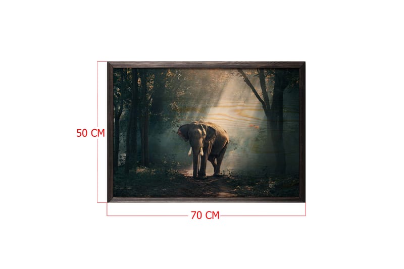Elephant In The Djungle Foto Grön/Beige - 70x50 cm - Inredning - Tavlor & konst - Posters & prints