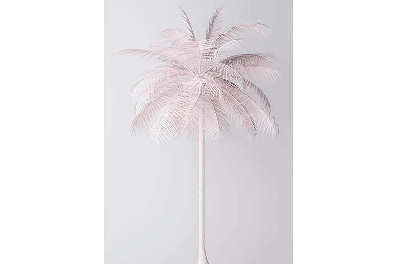 Palmtree Foto Rosa/Vit - 50x70 cm - Posters & prints - Posters barnrum