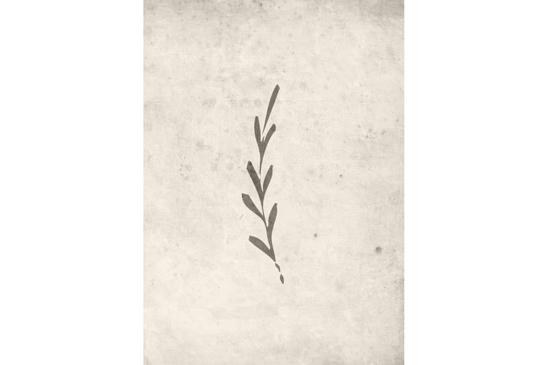 Poster Autumn leaf 50x70 cm - Beige - Inredning - Tavlor & konst - Posters & prints