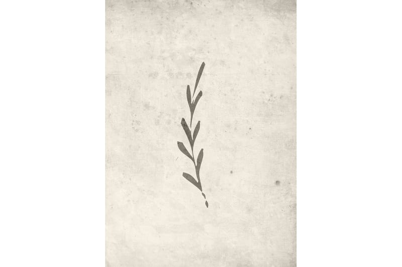 Poster Autumn leaf 50x70 cm, Beige