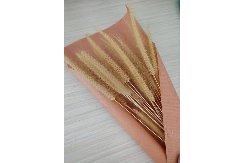 Poster Dry flowers 50x70 cm, Rosa/Beige