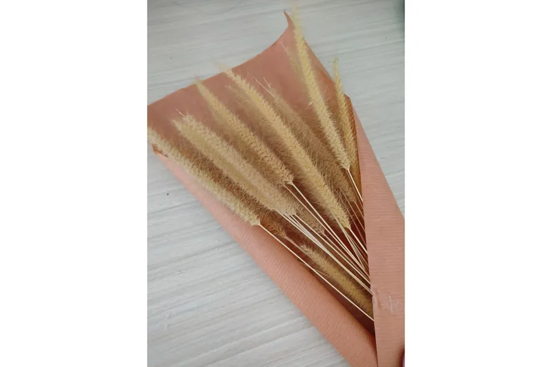 Poster Dry flowers 70x100 cm, Rosa/Beige