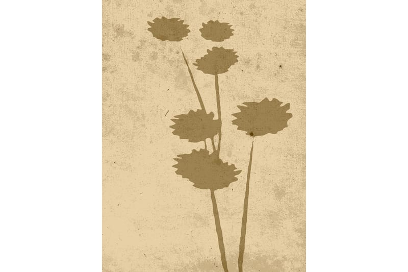 Poster Flower art 30x40 cm, Beige