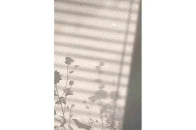 Poster Flower Shadow 30x40 cm - Vit - Inredning - Tavlor & konst - Posters & prints