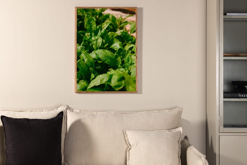 Poster Green Leaf 50x70 cm - Grön - Inredning - Tavlor & konst - Posters & prints