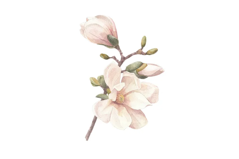 Poster Hand made 21x30 cm, Rosa/Vit