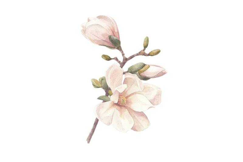 Poster Hand made 50x70 cm, Rosa/Vit