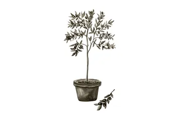 Poster Olive 21x30 cm - Vit/Grön - Inredning - Tavlor & konst - Posters & prints