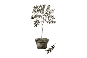 Poster Olive 30x40 cm - Vit/Grön - Inredning - Tavlor & konst - Posters & prints