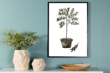 Poster Olive 50x70 cm - Vit/Grön - Inredning - Tavlor & konst - Posters & prints