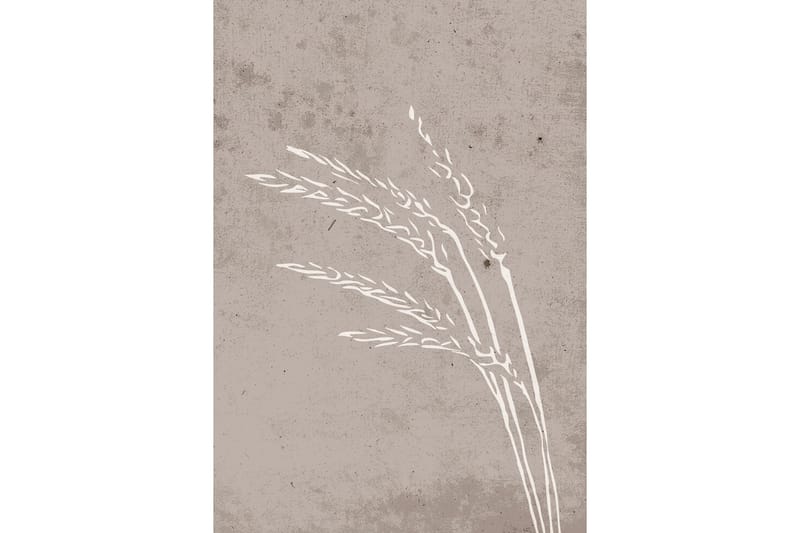 Poster Seeds 21x30 cm - Beige - Inredning - Tavlor & konst - Posters & prints
