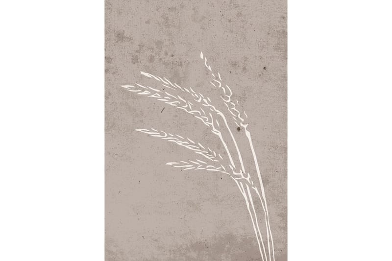 Poster Seeds 21x30 cm, Beige