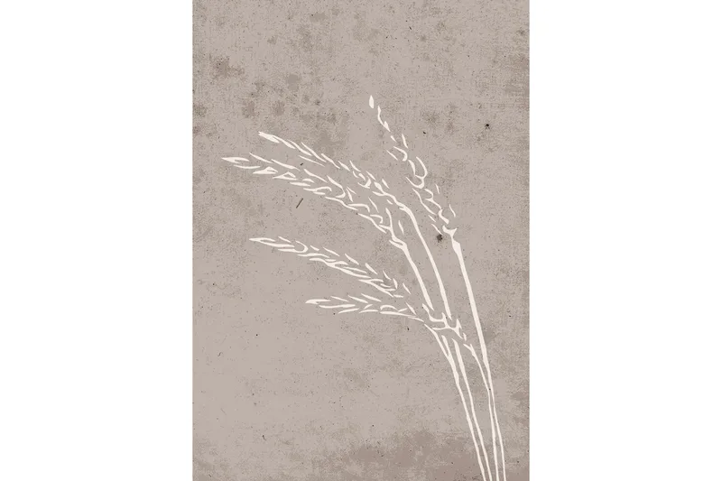 Poster Seeds 70x100 cm, Beige