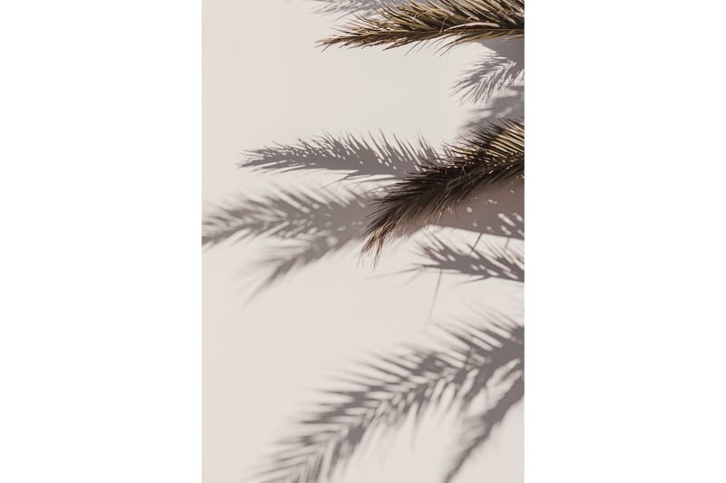 Poster Shadow 30x40 cm, Beige