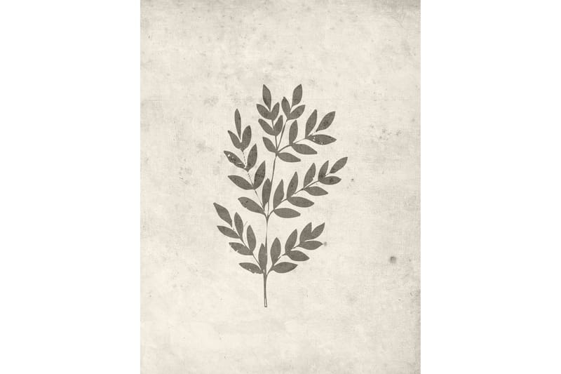 Poster Spring leaf 30x40 cm - Beige - Inredning - Tavlor & konst - Posters & prints