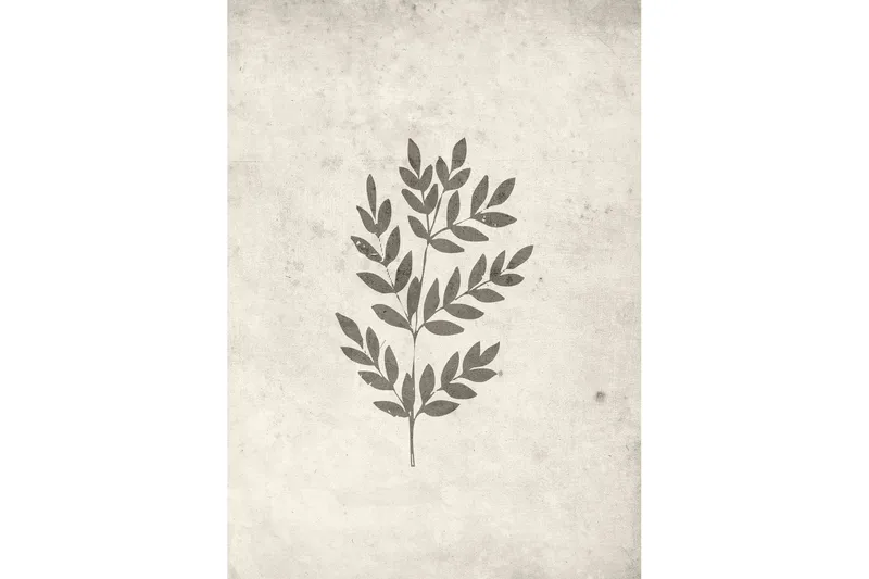 Poster Spring leaf 50x70 cm, Beige