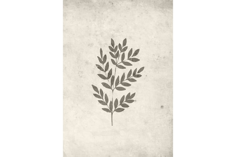 Poster Spring leaf 70x100 cm - Beige - Inredning - Tavlor & konst - Posters & prints