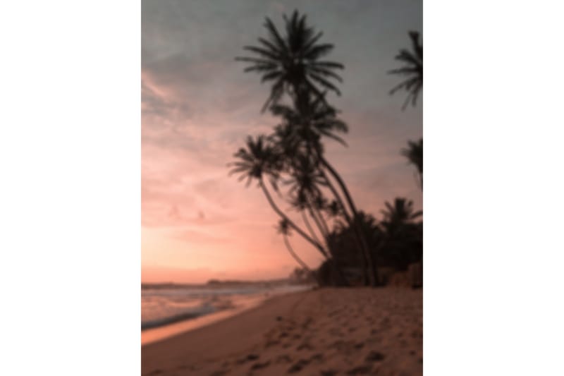 Poster Summer 30x40 cm - Rosa - Inredning - Tavlor & konst - Posters & prints