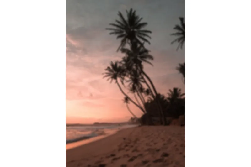 Poster Summer 50x70 cm, Rosa