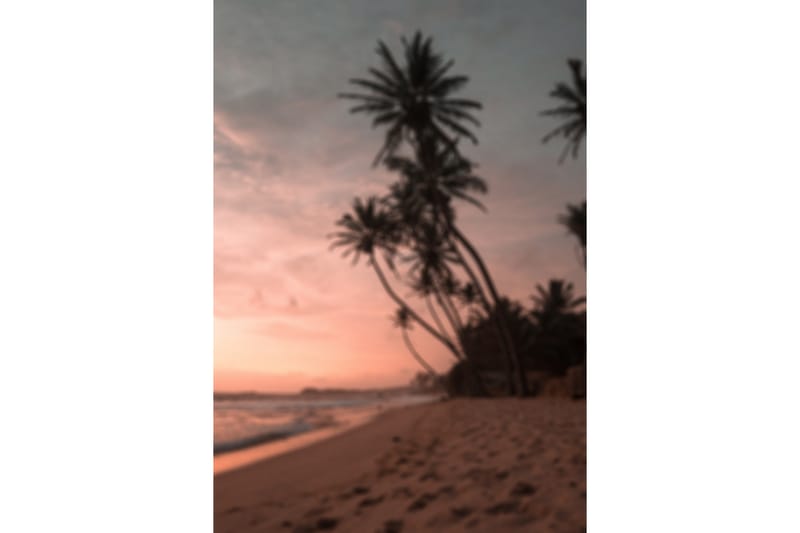 Poster Summer 70x100 cm - Rosa - Inredning - Tavlor & konst - Posters & prints