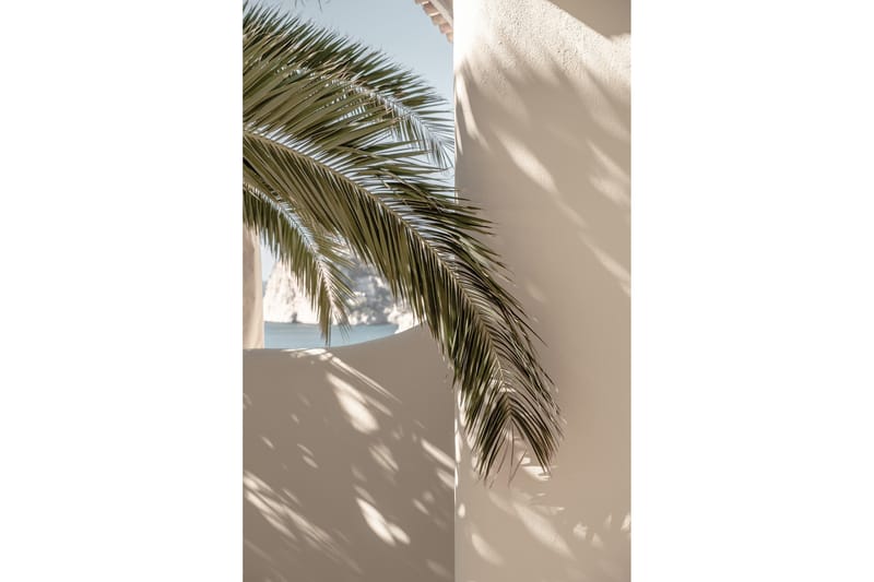 Poster Palmleaf 21x30 cm - Beige - Posters & prints