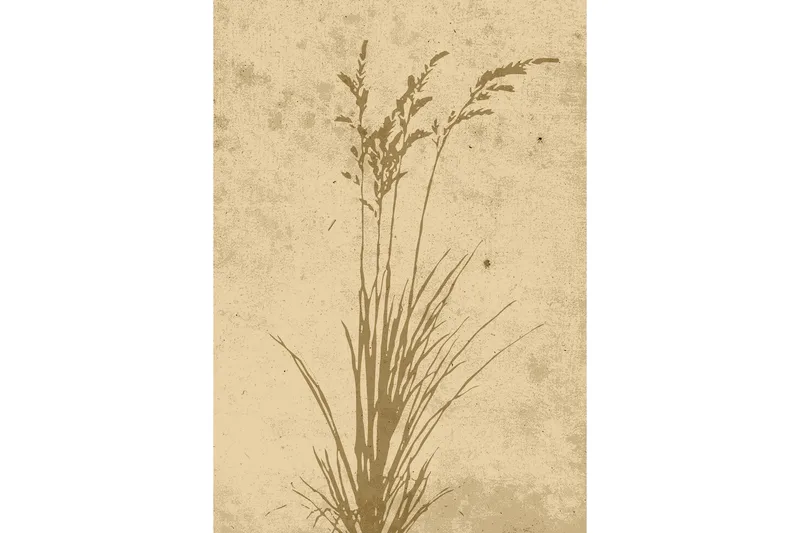 Poster Plant art 21x30 cm, Beige