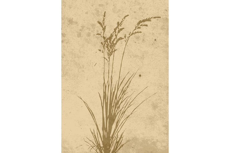 Poster Plant art 21x30 cm, Beige