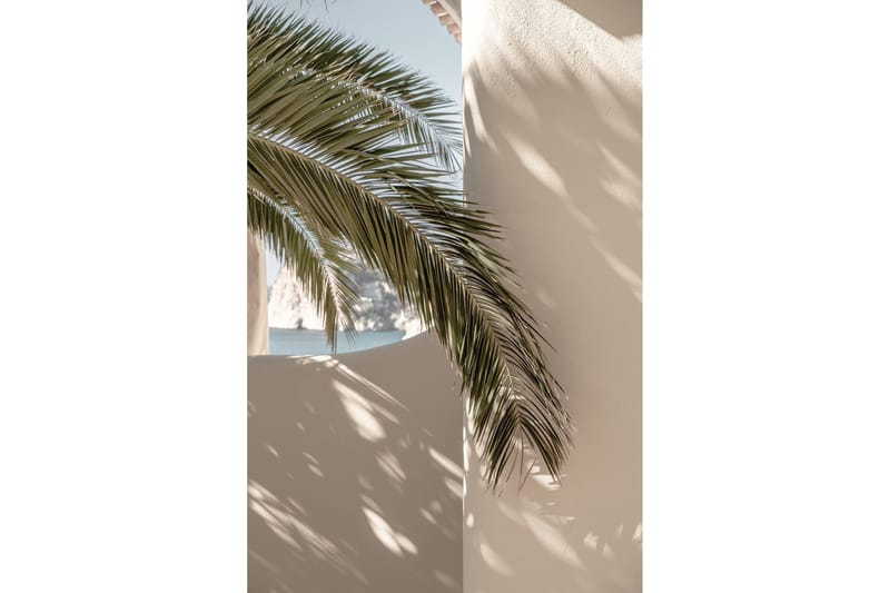 Poster Palmleaf 30x40 cm, Beige