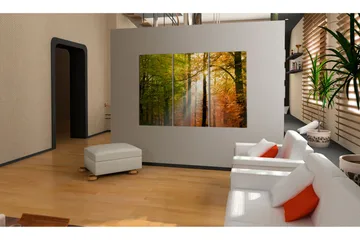 Tavla A Calm Autumn Forest 120x80 - Artgeist sp. z o. o. - Inredning - Tavlor & konst - Canvastavlor
