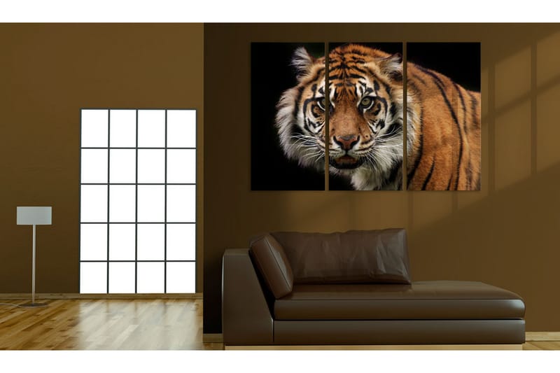 Tavla A wild tiger 90x60 - Artgeist sp. z o. o. - Canvastavlor