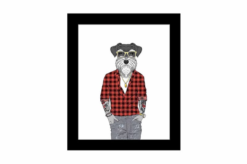 Tavla Animal med Ram Flerfärgad - 23,5x28,5 cm - Inredning - Tavlor & konst