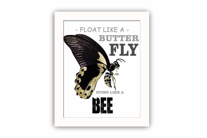 Tavla Animal med Ram Flerfärgad, 23,5x28,5 cm