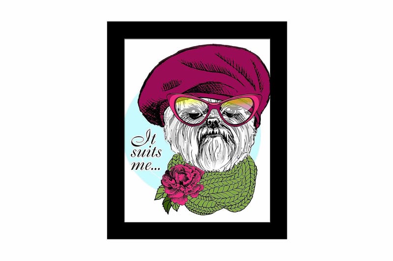 Tavla Animal med Ram Flerfärgad, 23,5x28,5 cm